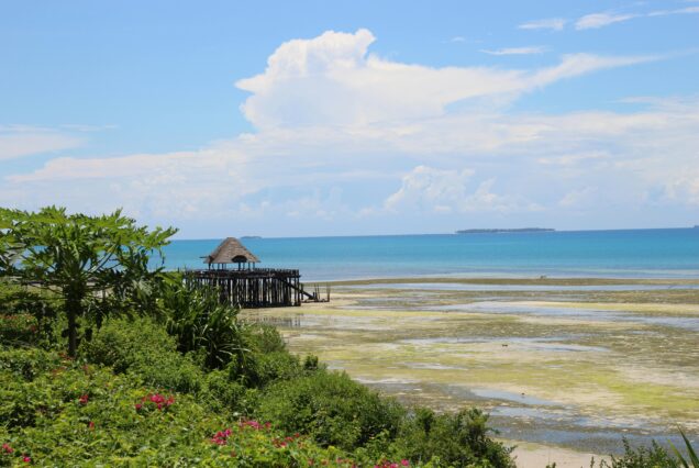 Zanzibar Holidays 5 Days | 4 Nights